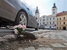 Květiny zasazené v dírách na parkovišti na Velkém náměstí v Hradci Králové (4....