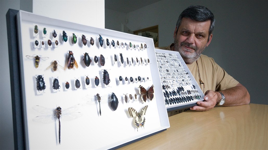 Podle entomologa Pavla Voni�ky u� z luk mizí nejen motýli, ale i hmyzí druhy,...