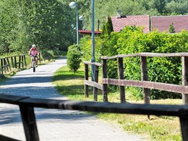 Vyfotit stezku a eku naprosto stejn nejde, protoe výhledu brání strom. Na...