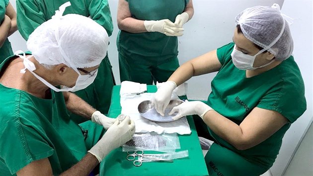 Lékaři v brazilské nemocnici připravují rybí kůži pro revoluční proceduru.