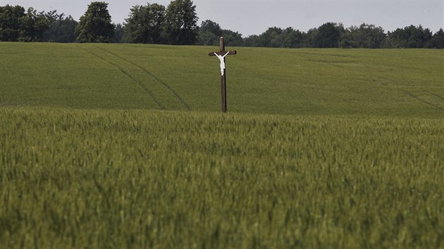 Poutní kříž nyní stojí uprostřed obilného lánu. Brzy k němu měla vést obnovená polní cesta. Kdy? To není jisté.