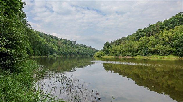 Povod Vltavy nech vybagrovat dvoukilometrov sek eky pod vodnm dlem Koensko.