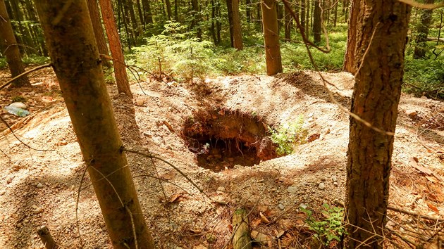 Nelegální kopáči u Byňova hledají vltavíny. Zůstávají po nich hluboké krátery mezi stromy.
