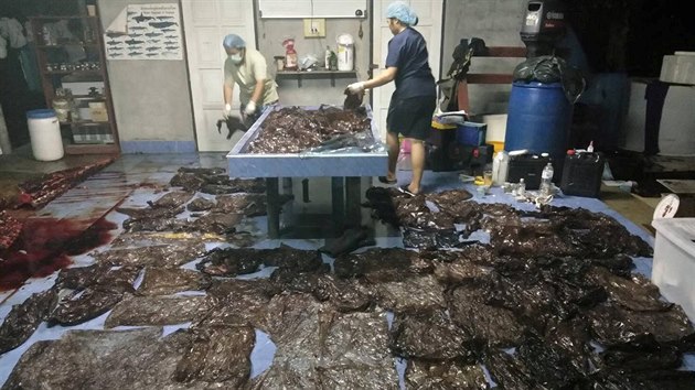 Plastové tašky, které veterináři vyjmuli z břicha uhynulé velryby.