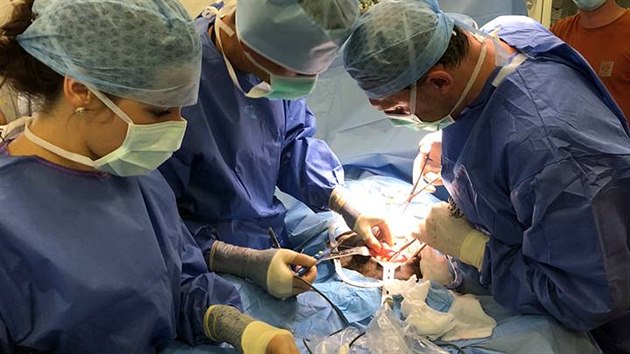 Operace gorily Kamby proběhla v neděli 3. června 2018.