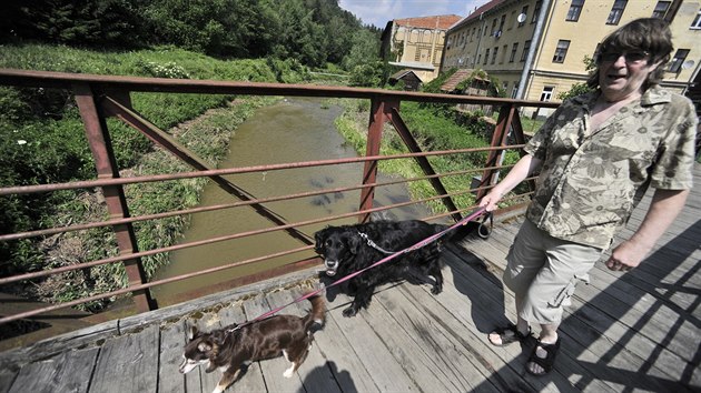 eka Jihlava pod stejnojmennm krajskm mstem Vysoiny po bouce pipomn pchnouc stoku. Uhynuly v n tisce ryb.