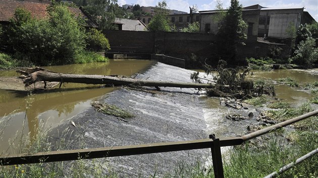 Řeka Jihlava pod stejnojmenným krajským městem Vysočiny po bouřce připomíná páchnoucí stoku. Uhynuly v ní tisíce ryb.