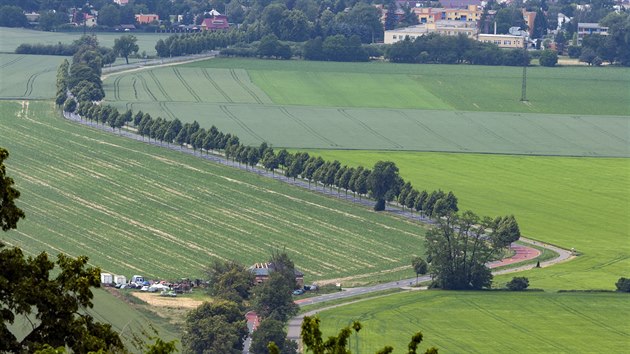 Pohled na poutn cestu lemovanou historickou alej, kter vede z Olomouce k bazilice na Svatm Kopeku.