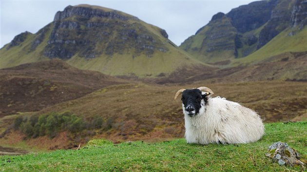 Isle of Skye, Skotsko: Skotsko jsou hory, jezera a ovce - astn ovce. Oteven krajina puntkovan blmi vlnnmi svetry je naprostm balzmem pro dui.