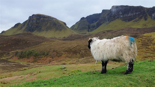 Isle of Skye, Skotsko: Skotsko jsou hory, jezera a ovce - astn ovce. Oteven krajina puntkovan blmi vlnnmi svetry je naprostm balzmem pro dui.