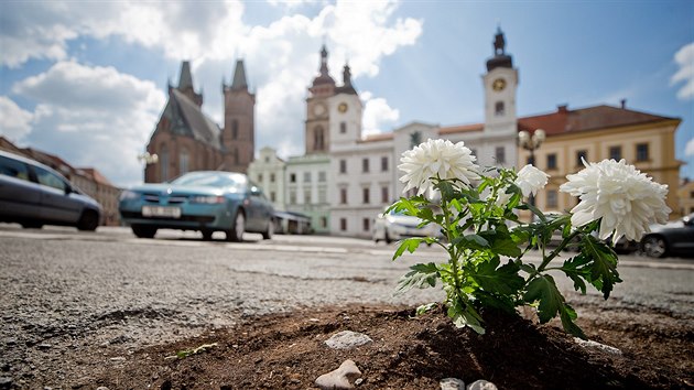 Květiny zasázené v dírách na parkovišti na Velkém náměstí v Hradci Králové (4. 6. 2018).