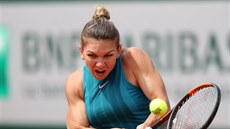 Simona Halepová ve finále Roland Garros.