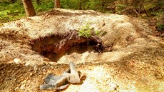 Nelegální kopá�i u By�ova hledají vltavíny. Z�stávají po nich hluboké krátery...