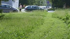 Prapodivně posekaná tráva na jihlavském sídlišti Březinky.