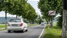 Pohled na poutní cestu lemovanou historickou alejí, která vede z Olomouce k...