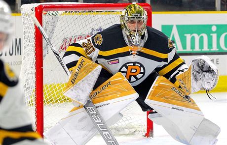 eský gólman chytá v AHL v týmu Providence Bruins.