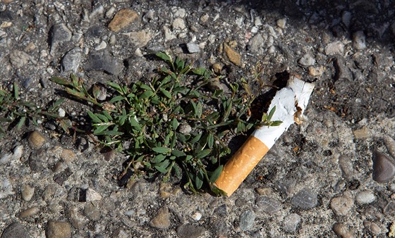Francouzská vláda chce tabákové firmy pinutit, aby se podílely na úklidu...