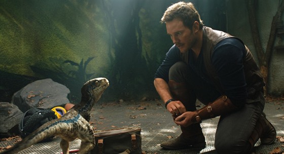 Chris Pratt se na ostrov snaí najít inteligentního jetra, kterého vychoval.