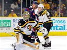 Český gólman se ohlíží za pukem v AHL v týmu Providence Bruins, před ním stojí...