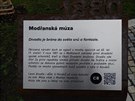 Parkové muzeum v Modanech