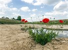 Na ad míst Olomouckého kraje u platí stav sucha, napíklad v Hnvotín na...