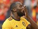 Romelu Lukaku z Belgie oslavuje svj gól.