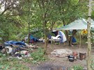 Dva bezdomovci spolu žili v zahrádkářské kolonii v plzeňské čtvrti Roudná. V...