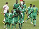 SENEGÓL! Senegaltí fotbalisté se radují z branky v utkání s Polskem. Velký...