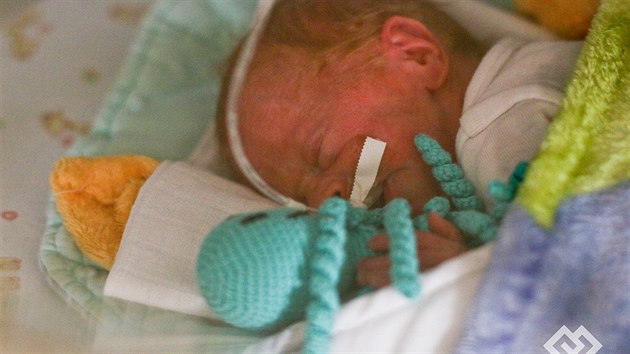 V porodnici Fakultn nemocnice v Motole se narodila tyata, ti holiky a chlapec (18. ervna 2018).