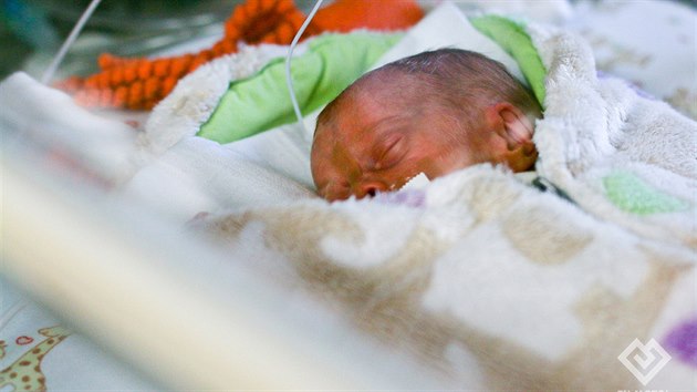 V porodnici Fakultní nemocnice v Motole se narodila čtyřčata, tři holčičky a chlapec (18. června 2018).