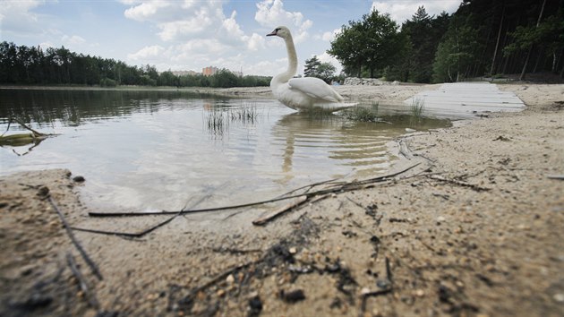 Senecký rybník v Plzni se po odbahnění napouští. Jeho naplnění může trvat až do příštího roku. Je totiž málo vody.