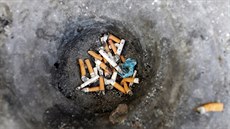 Francouzská vláda chce tabákové firmy pinutit, aby se podílely na úklidu...
