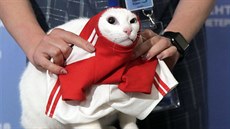 Kocour Achilles p�edpov�d�l výhru fotbalist� Ruska v úvodním duelu MS.