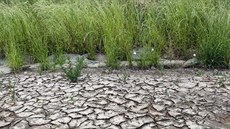 Na řadě míst Olomouckého kraje už platí stav sucha, například v Hněvotíně na...