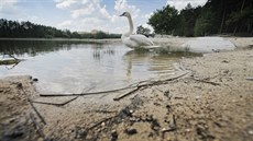 Senecký rybník v Plzni se po odbahnění napouští. Jeho naplnění může trvat až do...