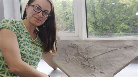 Paleontoloka Maria McNamarová ukazuje desku jemnozrnné horniny s fosilií...
