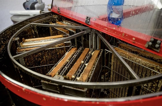 Odst�edivou silou se z medometu vytá�í sladký nektar. Men�í v�ela�i mají ru�ní...