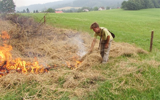 Ped osetím lesního ita bylo nutné z paseky vykácet náletové deviny a pak ji...