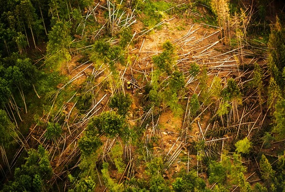 Letecký pohled na stav lesů v Jeseníkách.