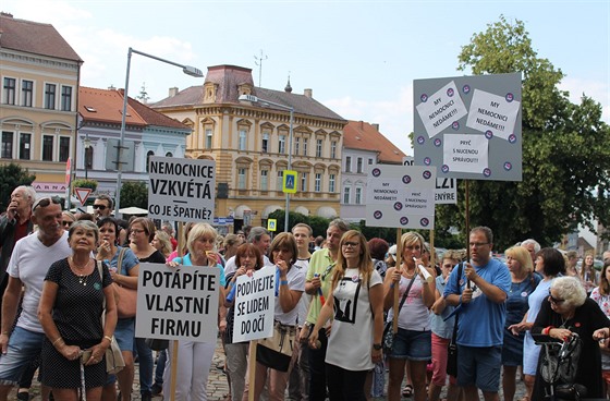 Protestní mítink v Roudnici nad Labem. (21. ervna 2018)