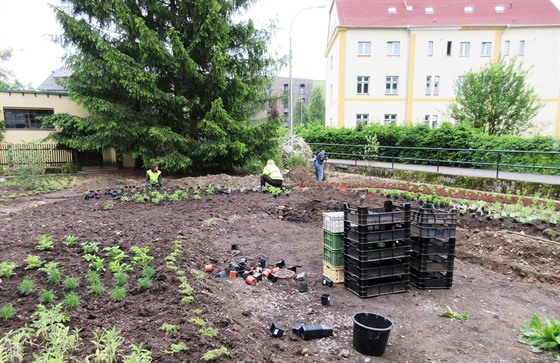 Inspirací pro vznik nové oddechové zóny byl pro krásnolipskou radnici park v...