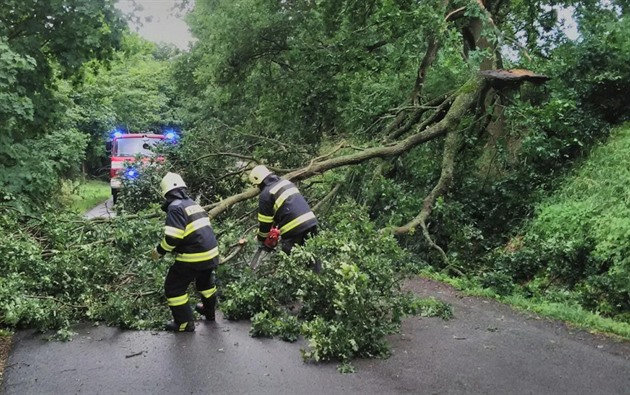 Udeří silný vítr. Na horách může mít i 110 kilometrů za hodinu