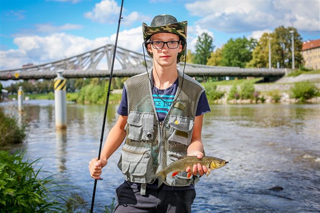 Rybám zaala sezona dravc, v Budjovicích se vydal lovit také dvanáctiletý...