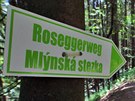 Obnovovan Mlnsk stezka (Roseggerweg) z Jchymova do Hornho ru. Zatek...