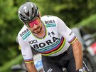 Slovák Peter Sagan na trati mistrovství eska a Slovenska v Plzni