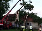 V Pikárci na ársku hasii odstraovali strom, který spadl na dm. (21. 6....