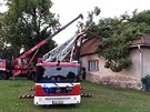 V Pikárci na ársku hasii odstraovali strom, který spadl na dm. (21. 6....