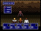 Phantasy Star IV: The End of the Millennium