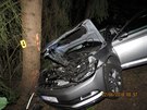 Pi dopravn nehod na Tachovsku se smrteln zranil osmadvacetilet...