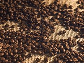 Kávová zrna